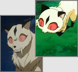 kirara.gif